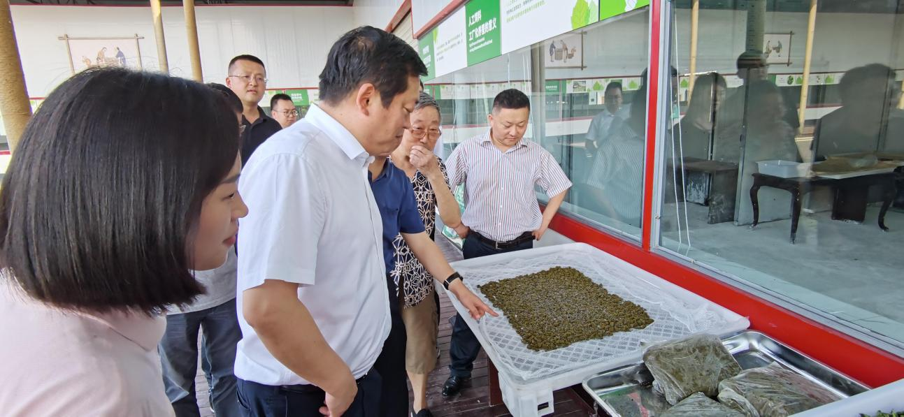 省美狮贵宾会集团党委副书记、董事陈日赴嘉陵区调研茶桑产业发展情况