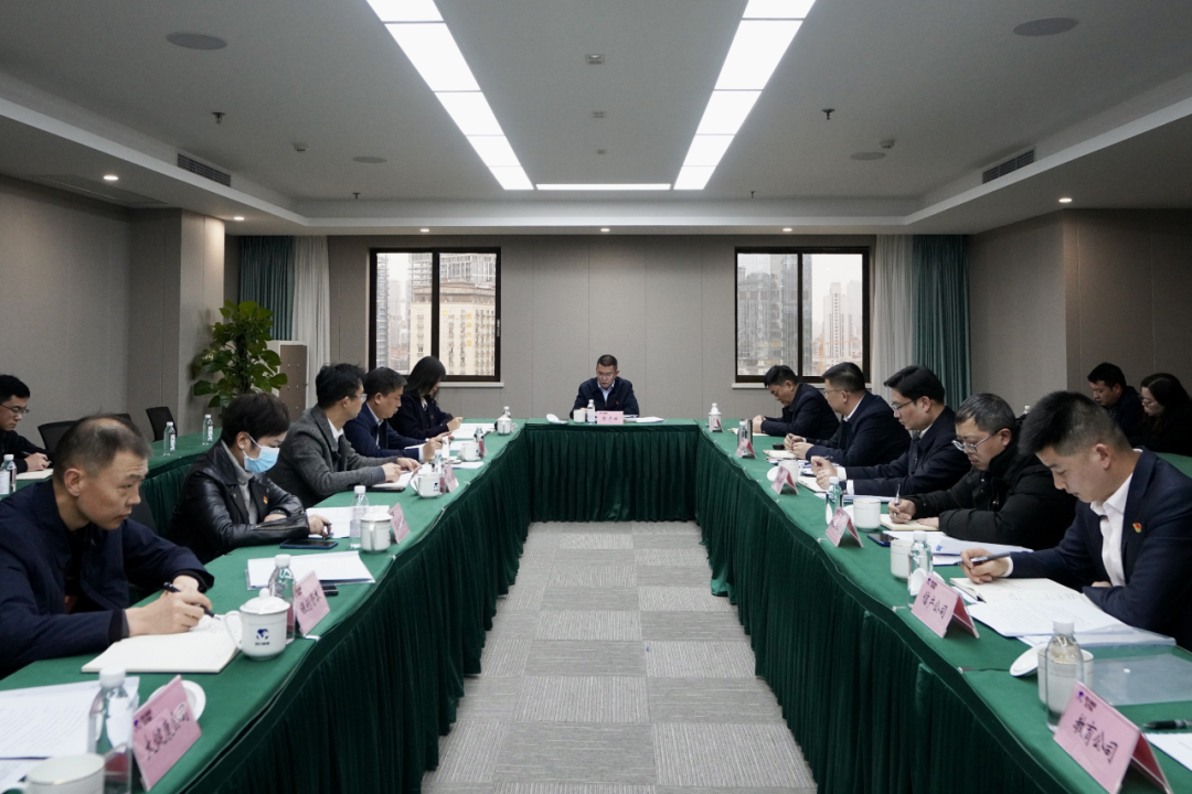 四川省美狮贵宾会集团开展纪检监察干部队伍教育整顿学习教育